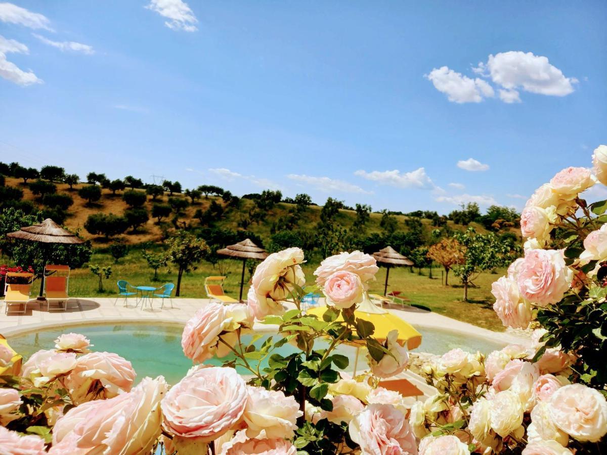 Angolo Di Paradiso Formello Buitenkant foto